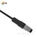 M8 Circular Connectors 2-8P waterproof connector with straight male head Factory